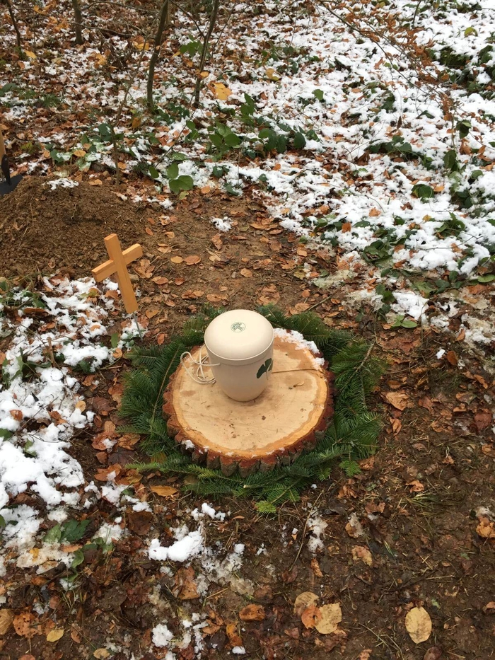Waldbestattung im Biberach Burrenwald Waldbestattung im Biberach Burrenwald